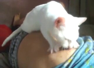 Animal Porn XXX Sex Movies