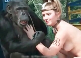 Cow bestiality sex