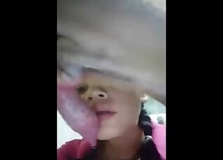 Doggy animal porn