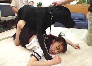 Japanese animal tube