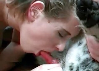 Zoo Animal Sex