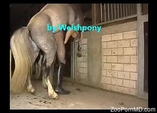 ZooPornMD